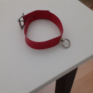 Das verwunschene Halsband